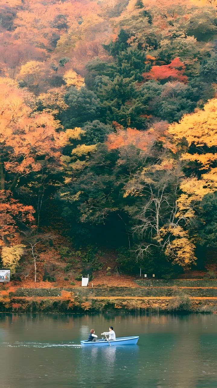 音频处理